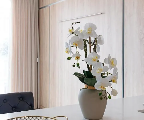 Avenida Da Liberdade Luxury